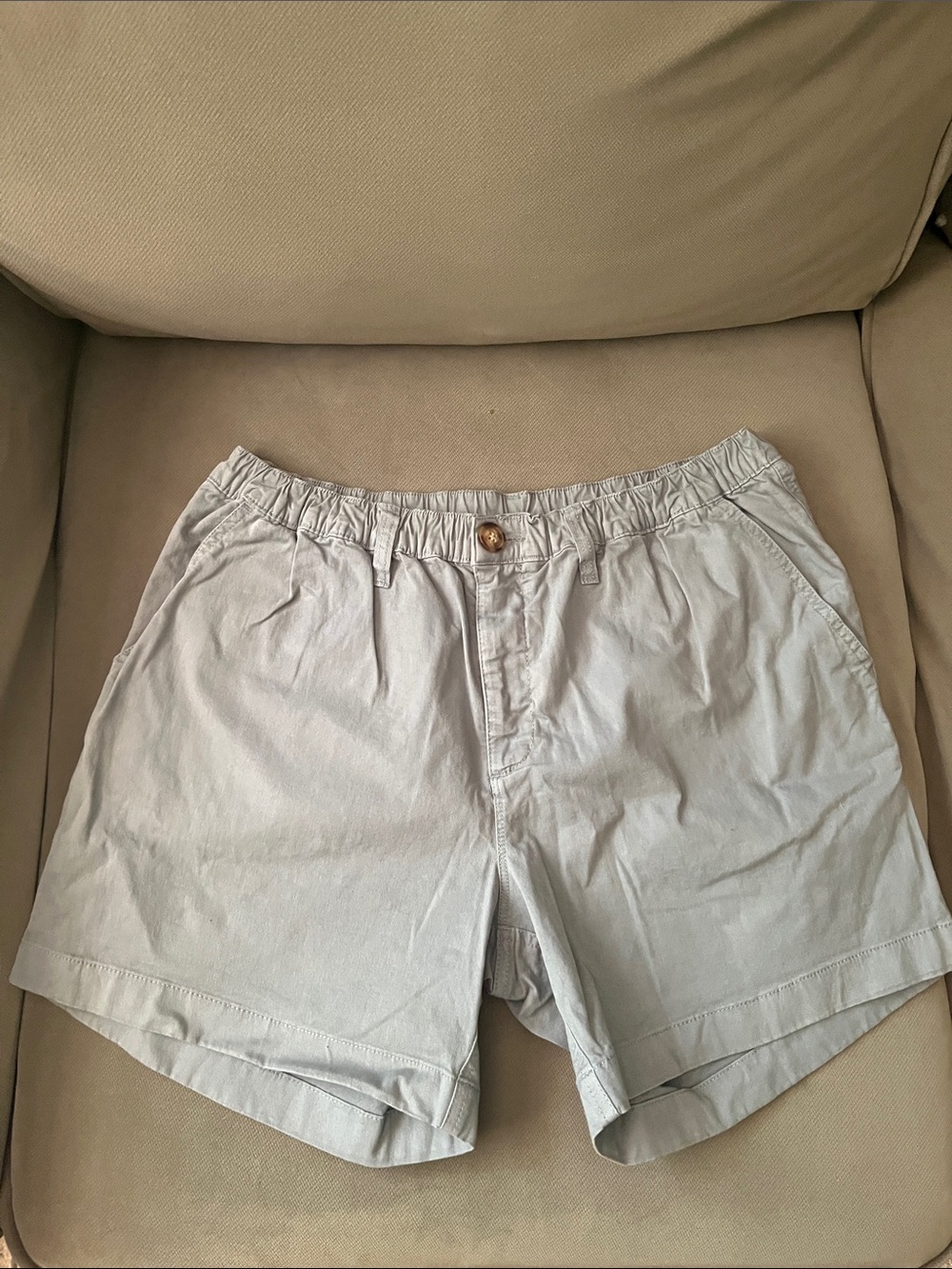 chubbies Light blue Men's Casual Elastic-Waist Shorts